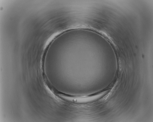 X0000071861422200607141804