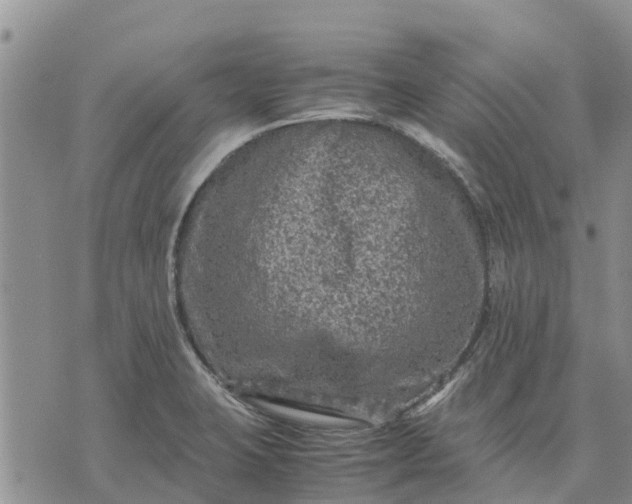 X0000071861423200607141804