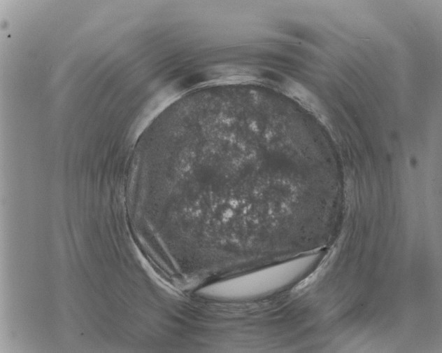 X0000071861425200607141804