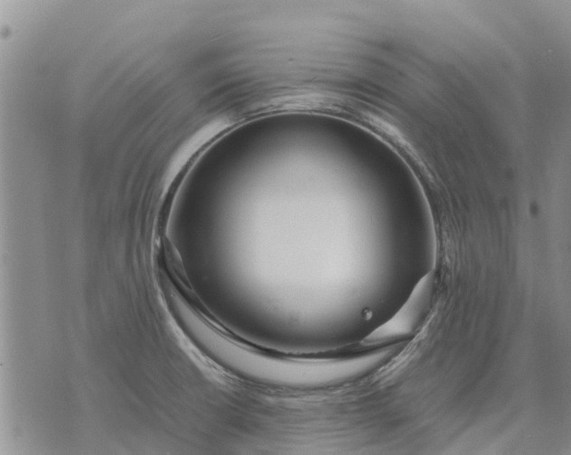 X0000071861426200607141804