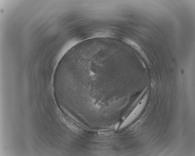 X0000071861427200607141804