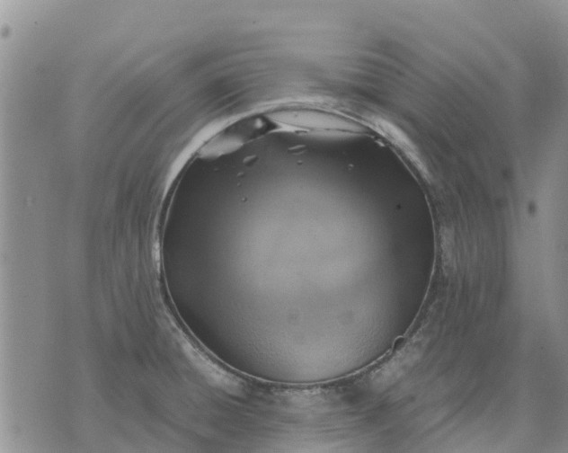 X0000071861428200607141804