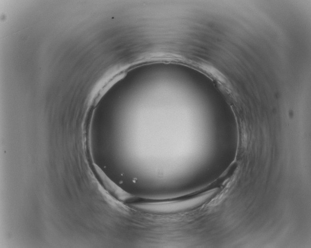 X0000071861430200607141804