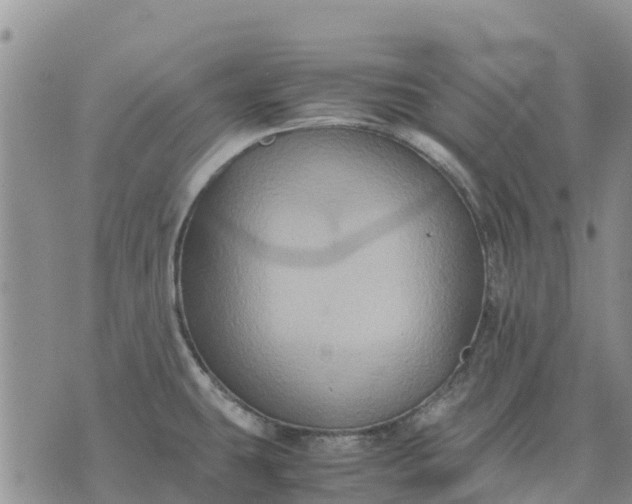 X0000071861431200607141804