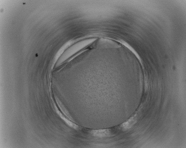 X0000071861437200607141804