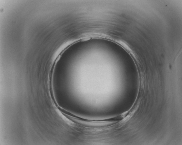 X0000071861438200607141804