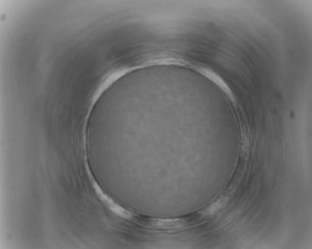 X0000071861439200607141804