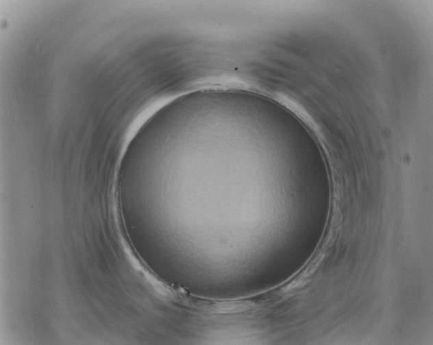 X0000071861440200607141804