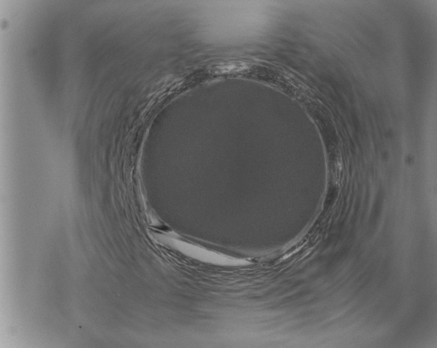 X0000071861441200607141803