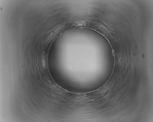 X0000071861442200607141803