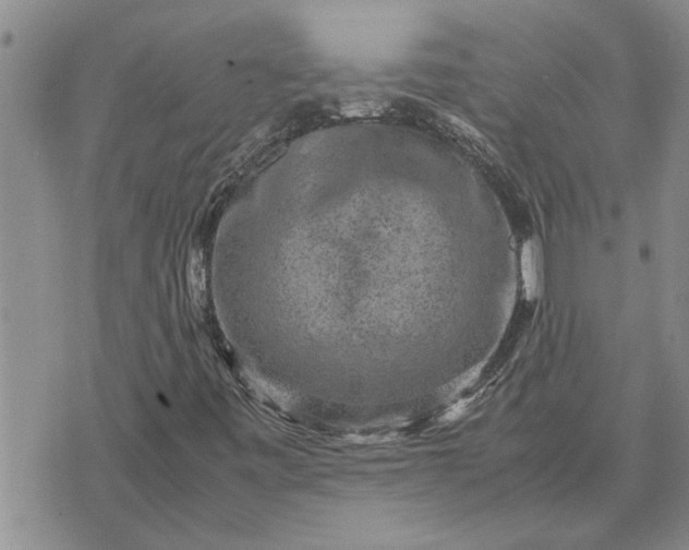 X0000071861443200607141803