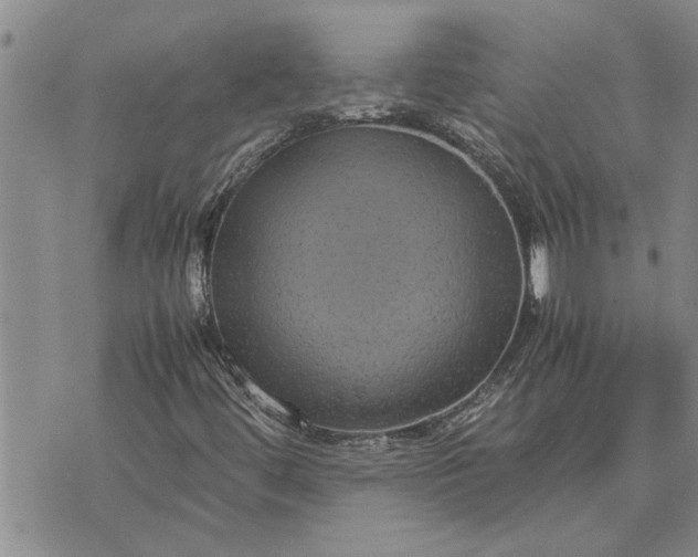 X0000071861444200607141803