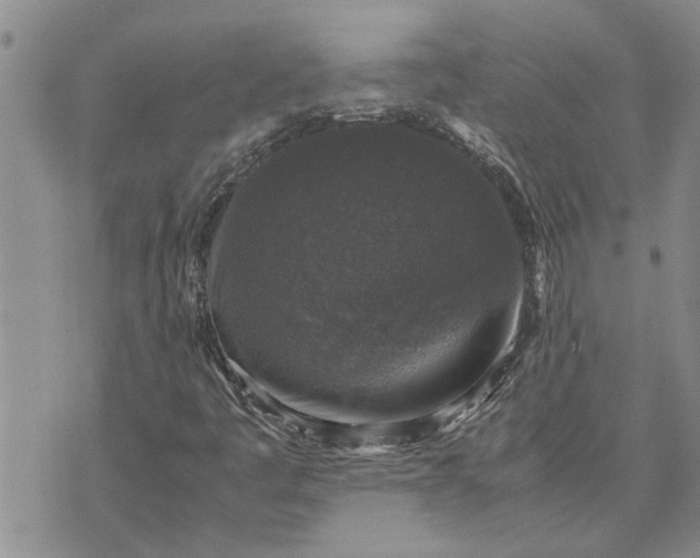 X0000071861445200607141803