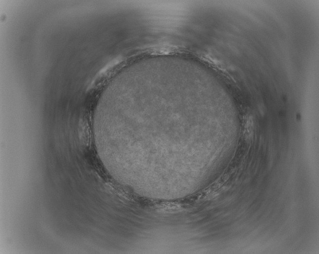 X0000071861446200607141803