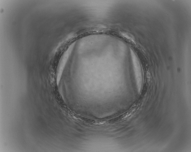 X0000071861447200607141803