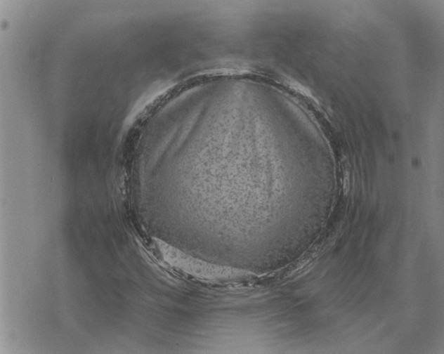 X0000071861448200607141803