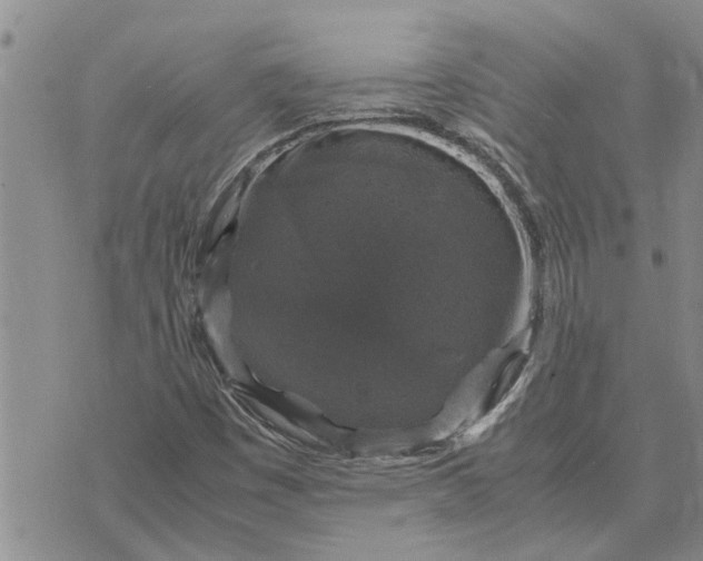 X0000071861449200607141803