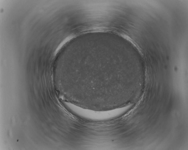 X0000071861450200607141803