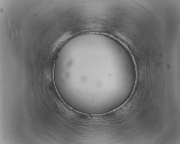 X0000071861451200607141803