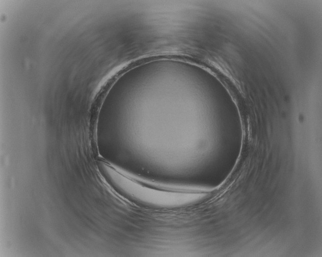 X0000071861452200607141803