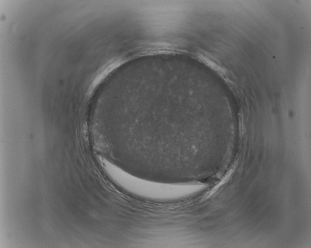 X0000071861453200607141803