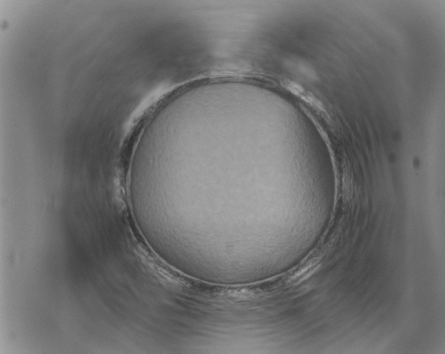 X0000071861454200607141803