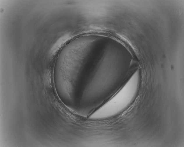 X0000071861455200607141803