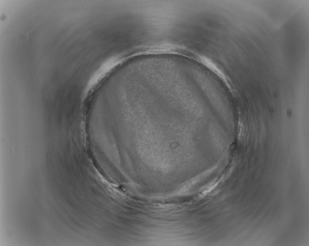 X0000071861456200607141803