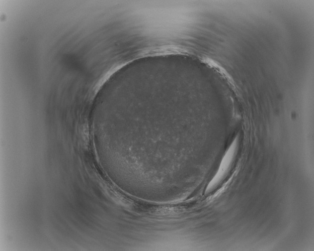 X0000071861457200607141803