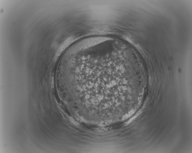 X0000071861459200607141803