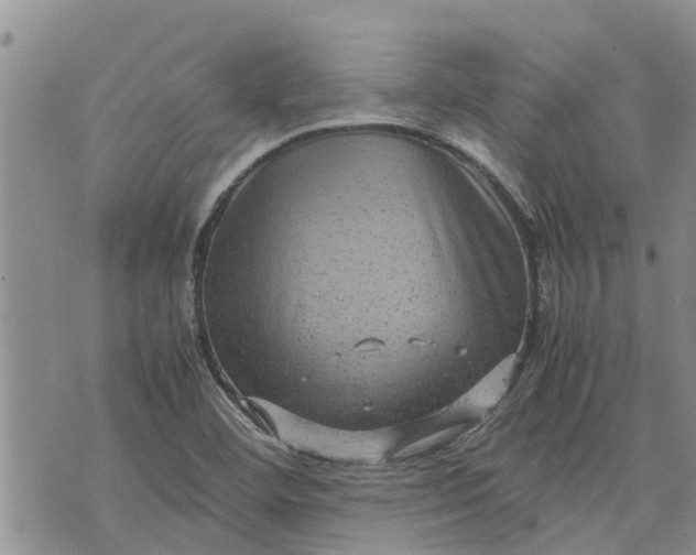 X0000071861460200607141803