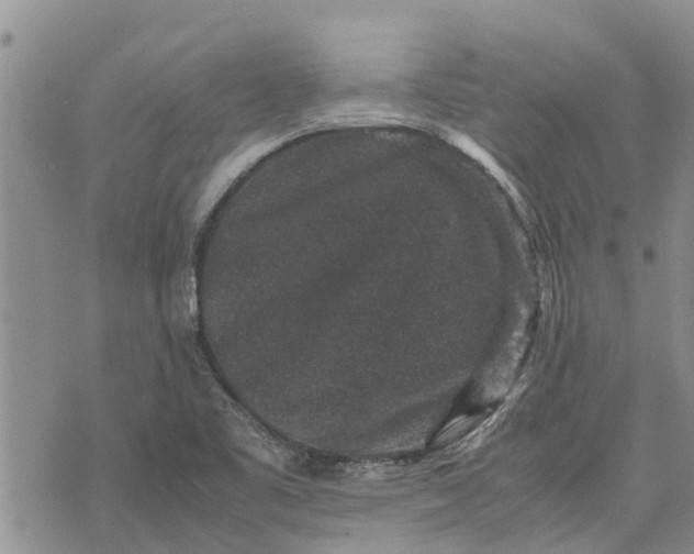 X0000071861461200607141803