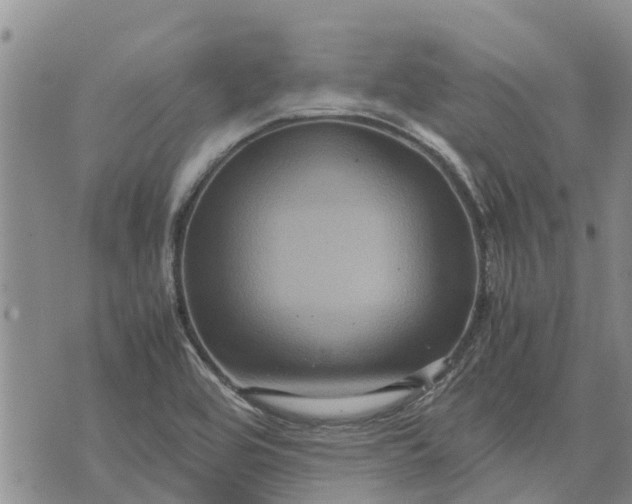 X0000071861464200607141803