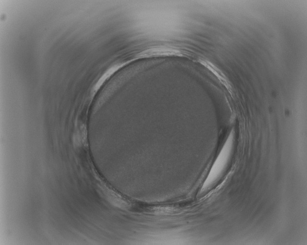 X0000071861465200607141803