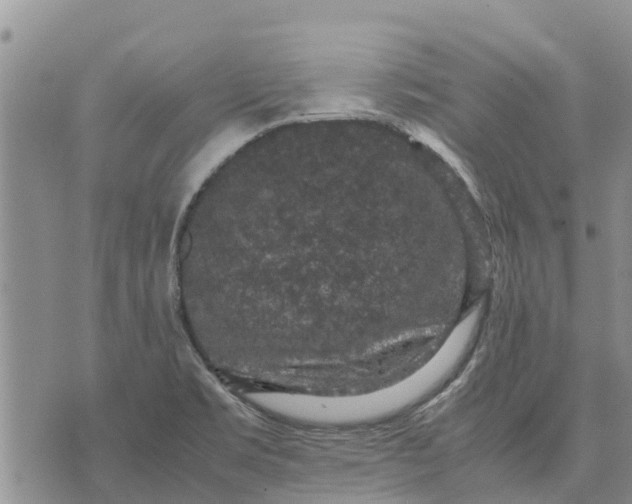 X0000071861469200607141803