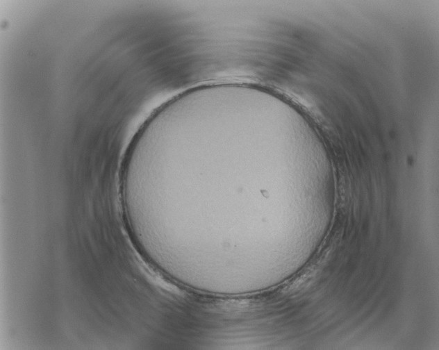 X0000071861470200607141803