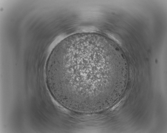 X0000071861471200607141803