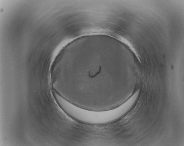 X0000071861472200607141803