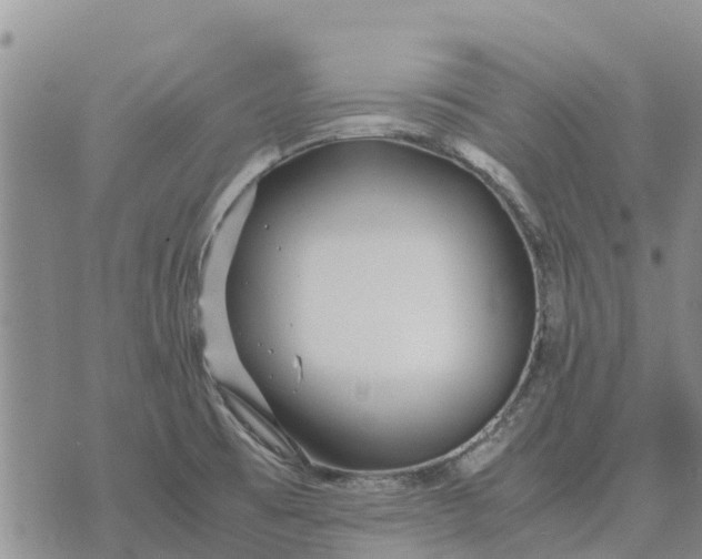 X0000071861473200607141803