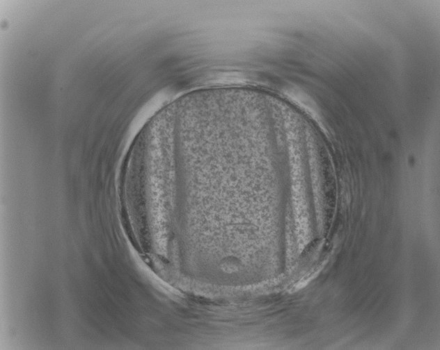 X0000071861475200607141803