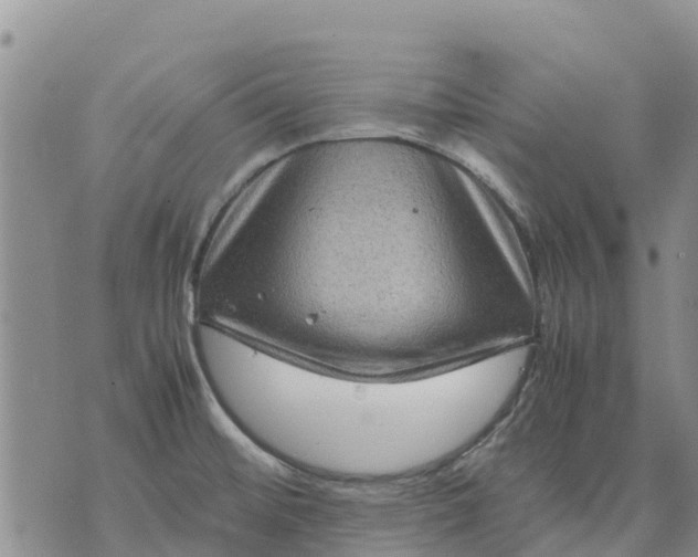 X0000071861476200607141803