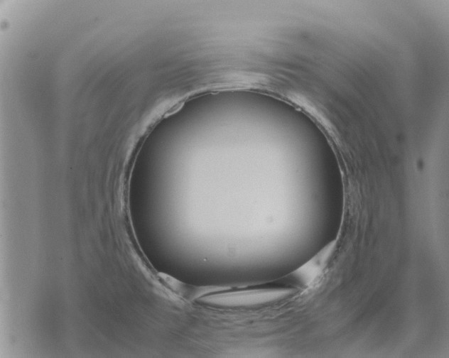 X0000071861477200607141803