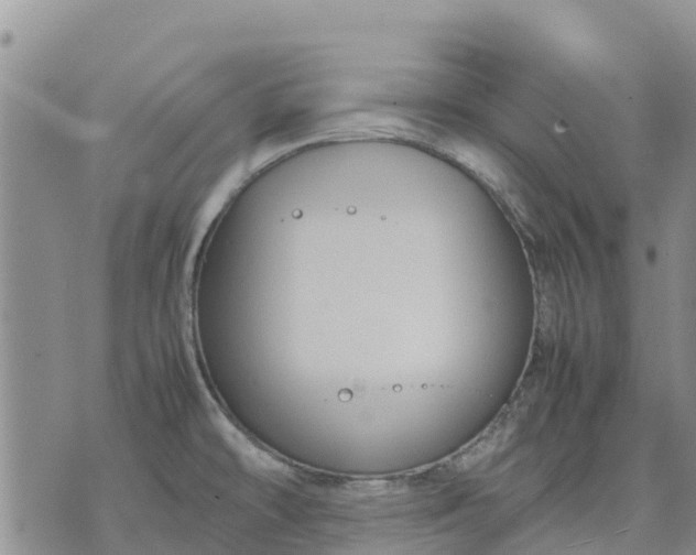 X0000071861478200607141803