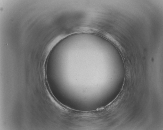 X0000071861479200607141803