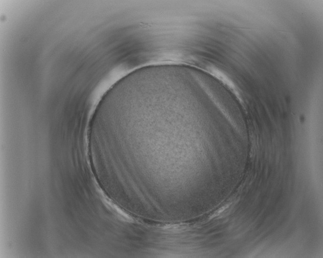 X0000071861480200607141803