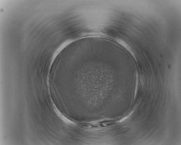 X0000071861482200607141802