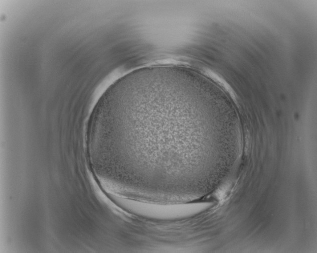 X0000071861483200607141802