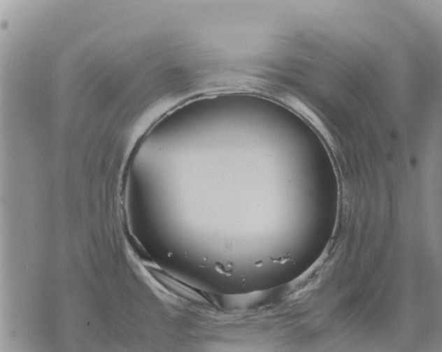 X0000071861485200607141802