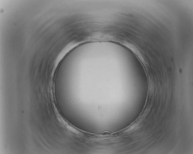 X0000071861486200607141802