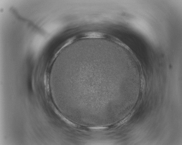 X0000071861487200607141802